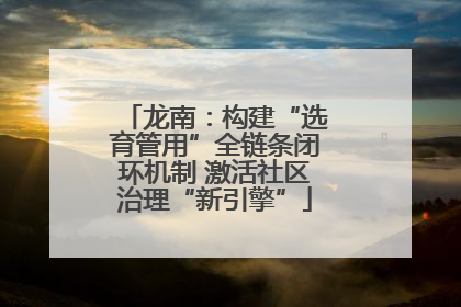 龙南：构建“选育管用”全链条闭环机制 激活社区治理“新引擎”