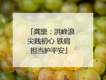 龚里：洪峰浪尖践初心 铁肩担当护平安