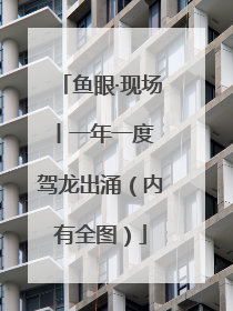 鱼眼·现场丨一年一度 驾龙出涌（内有全图）