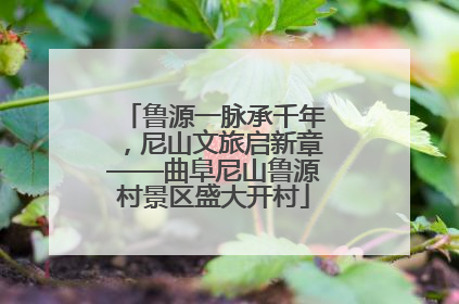 鲁源一脉承千年，尼山文旅启新章——曲阜尼山鲁源村景区盛大开村
