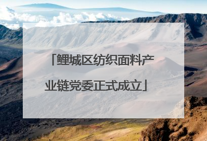 鲤城区纺织面料产业链党委正式成立