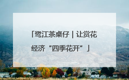 鹭江茶桌仔｜让赏花经济“四季花开”