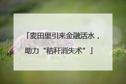 麦田里引来金融活水，助力“秸秆消失术”