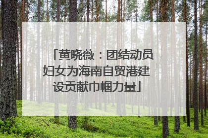 黄晓薇：团结动员妇女为海南自贸港建设贡献巾帼力量
