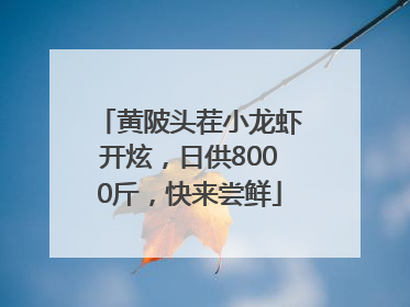 黄陂头茬小龙虾开炫，日供8000斤，快来尝鲜