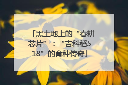 黑土地上的“春耕芯片”：“吉科稻518”的育种传奇