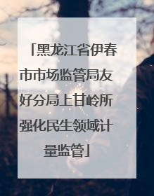 黑龙江省伊春市市场监管局友好分局上甘岭所强化民生领域计量监管