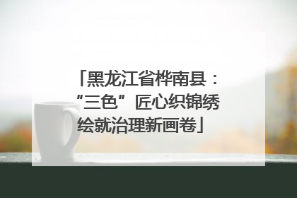 黑龙江省桦南县：“三色”匠心织锦绣 绘就治理新画卷