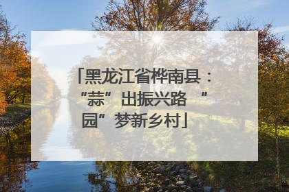 黑龙江省桦南县：“蒜”出振兴路 “园”梦新乡村