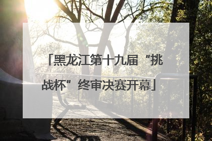 黑龙江第十九届“挑战杯”终审决赛开幕