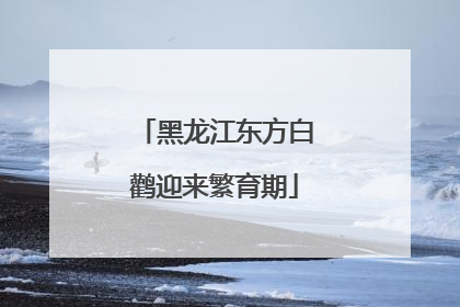 黑龙江东方白鹳迎来繁育期