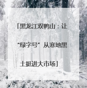 黑龙江双鸭山：让“绿字号”从寒地黑土挺进大市场