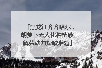 黑龙江齐齐哈尔：胡萝卜无人化种植破解劳动力短缺难题