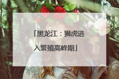 黑龙江：狮虎进入繁殖高峰期