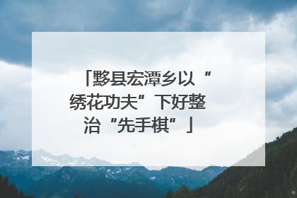 黟县宏潭乡以“绣花功夫”下好整治“先手棋”