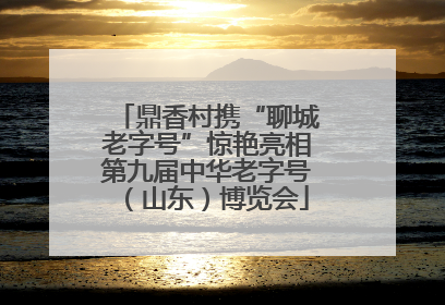 鼎香村携“聊城老字号”惊艳亮相第九届中华老字号（山东）博览会