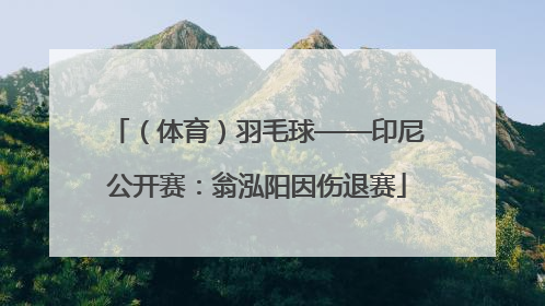 （体育）羽毛球——印尼公开赛：翁泓阳因伤退赛