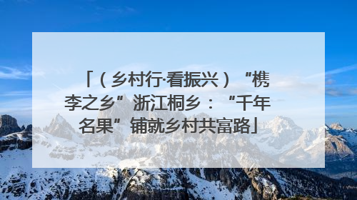 （乡村行·看振兴）“槜李之乡”浙江桐乡：“千年名果”铺就乡村共富路