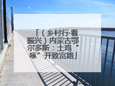 （乡村行·看振兴）内蒙古鄂尔多斯：土鸡“啄”开致富路
