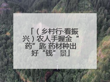 （乡村行·看振兴）农人手握金“药”匙 药材种出好“钱”景
