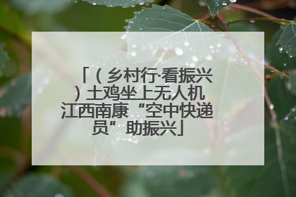 （乡村行·看振兴）土鸡坐上无人机 江西南康“空中快递员”助振兴
