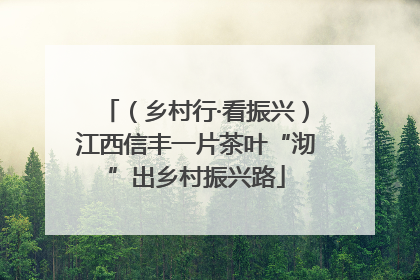 （乡村行·看振兴）江西信丰一片茶叶“沏”出乡村振兴路