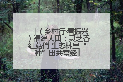 （乡村行·看振兴）福建大田：灵芝香红菇俏 生态林里“种”出共富经