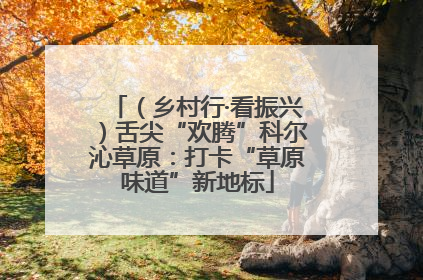 （乡村行·看振兴）舌尖“欢腾”科尔沁草原：打卡“草原味道”新地标