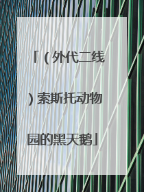 （外代二线）索斯托动物园的黑天鹅