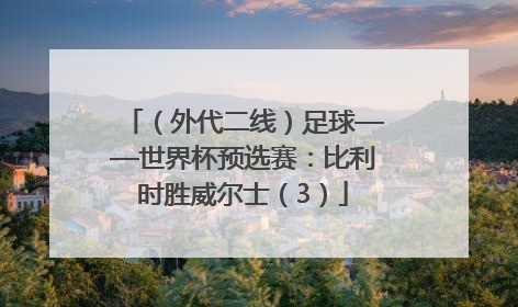 （外代二线）足球——世界杯预选赛：比利时胜威尔士（3）