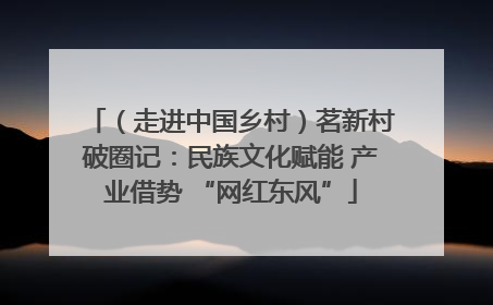 （走进中国乡村）茗新村破圈记：民族文化赋能 产业借势 “网红东风”