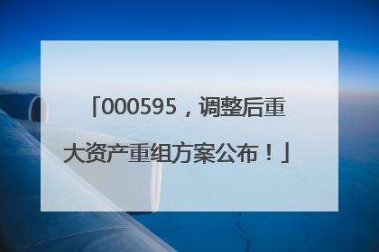000595，调整后重大资产重组方案公布！