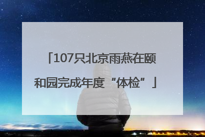 107只北京雨燕在颐和园完成年度“体检”