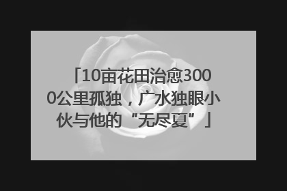 10亩花田治愈3000公里孤独，广水独眼小伙与他的“无尽夏”