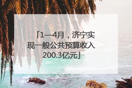 1—4月，济宁实现一般公共预算收入200.3亿元