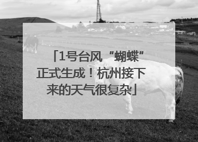 1号台风“蝴蝶”正式生成！杭州接下来的天气很复杂