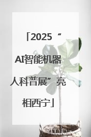2025“AI智能机器人科普展”亮相西宁