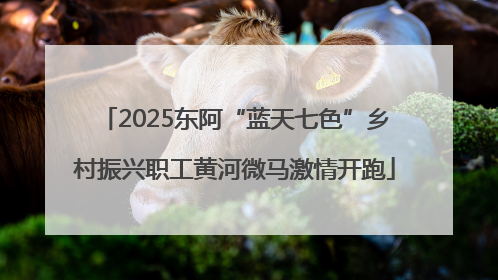 2025东阿“蓝天七色”乡村振兴职工黄河微马激情开跑