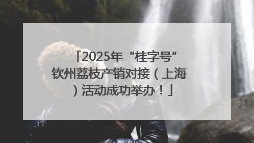 2025年“桂字号”钦州荔枝产销对接（上海）活动成功举办！