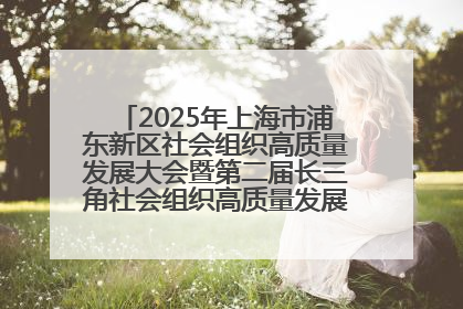 2025年上海市浦东新区社会组织高质量发展大会暨第二届长三角社会组织高质量发展峰会成功举办