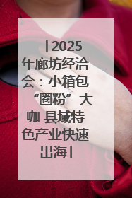 2025年廊坊经洽会：小箱包“圈粉”大咖 县域特色产业快速出海