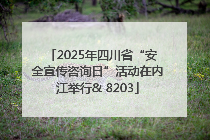 2025年四川省“安全宣传咨询日”活动在内江举行& 8203