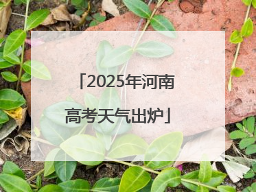 2025年河南高考天气出炉