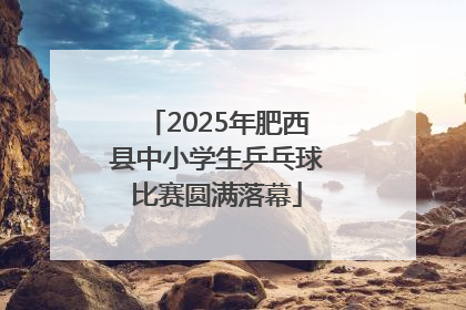 2025年肥西县中小学生乒乓球比赛圆满落幕