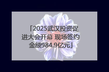 2025武汉投资促进大会开幕 现场签约金额984.9亿元