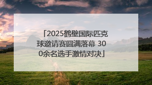 2025鹤壁国际匹克球邀请赛圆满落幕 300余名选手激情对决