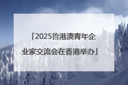 2025鲁港澳青年企业家交流会在香港举办