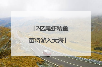 2亿尾虾蟹鱼苗将游入大海