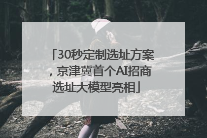 30秒定制选址方案，京津冀首个AI招商选址大模型亮相