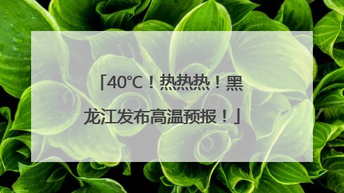 40℃！热热热！黑龙江发布高温预报！